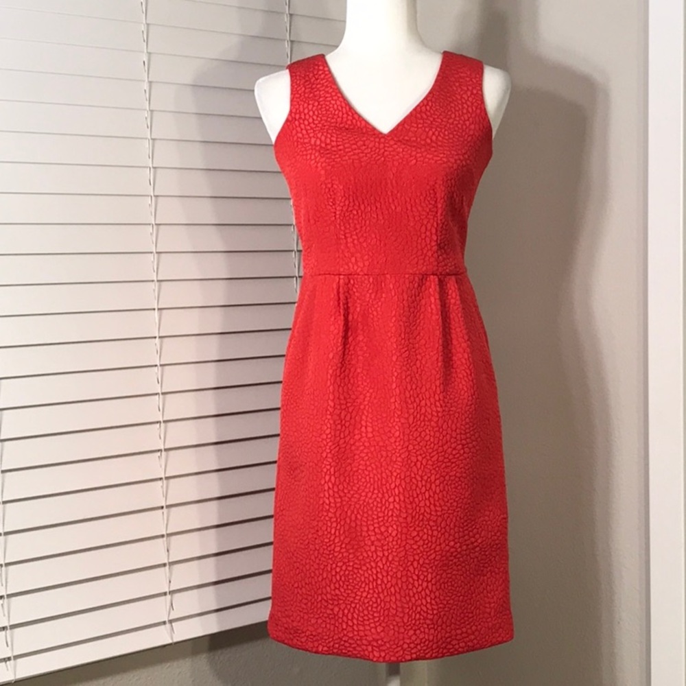 Pink Embossed Banana Republic Dress